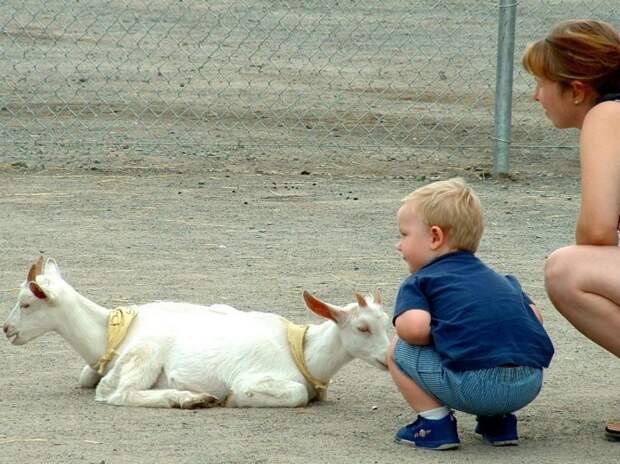 Удивительные фотоиллюзии
