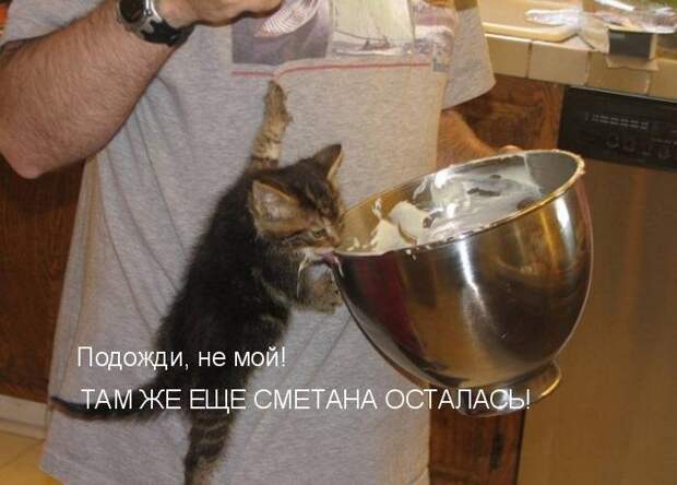 Мысли вслух :)