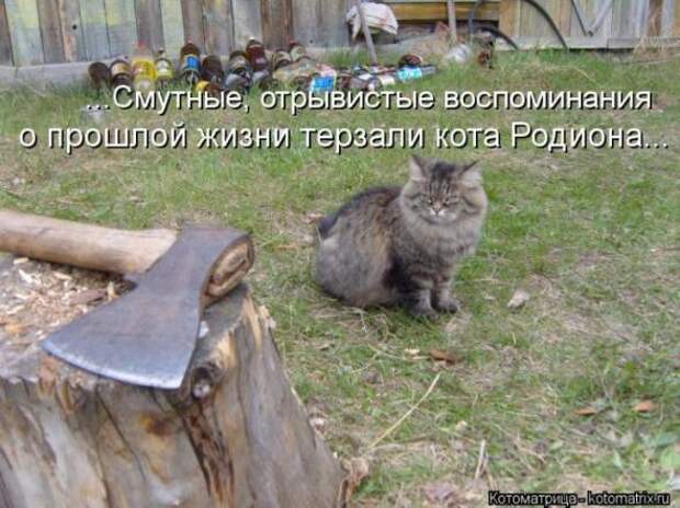Котоматрицы(картинки с надписями)