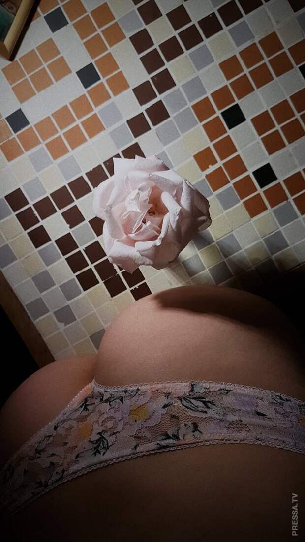 Шикарные попы