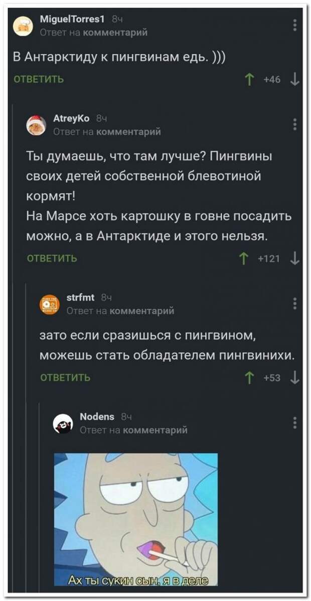 setey-socialnyh-kommentarii-citaty-vkontakte-vkontakte-smeshnye-statusy