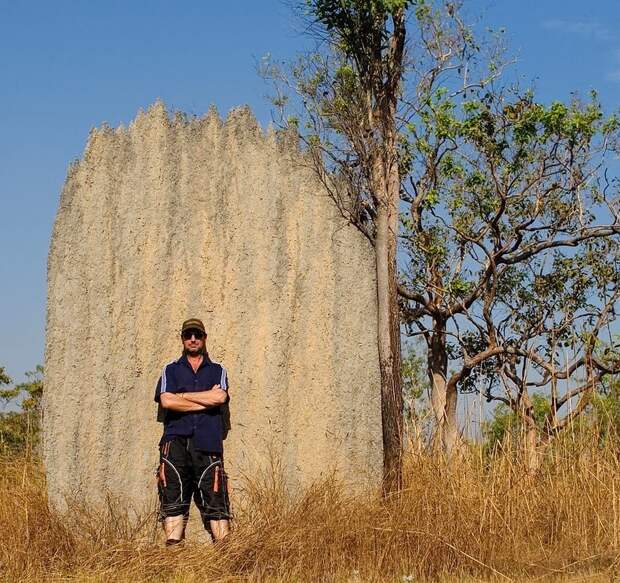 magnetic-termites-52