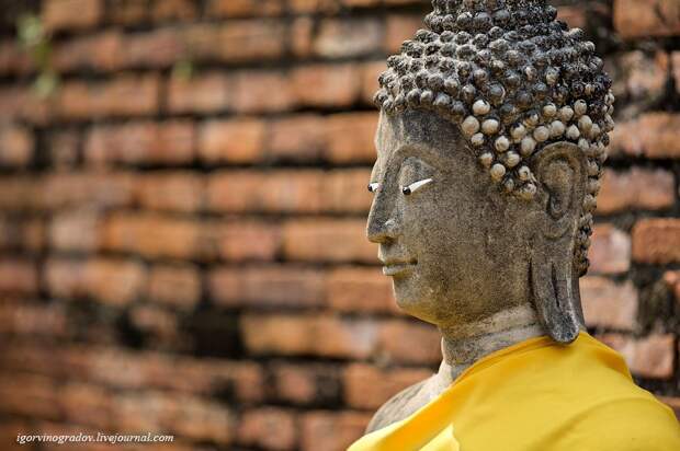 Wat Yai Chai Mongkhon