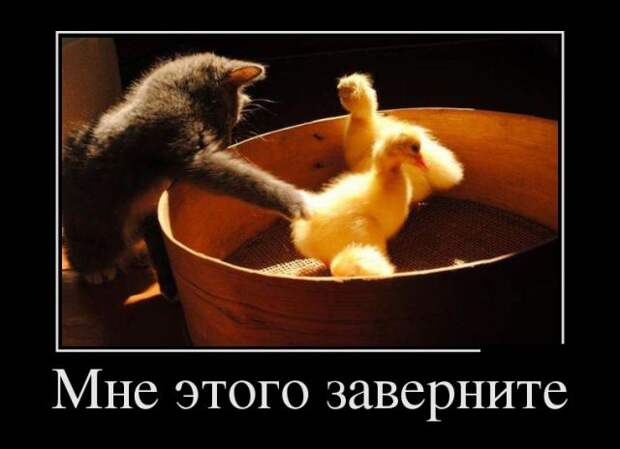 Веселые и позитивные демотиваторы со смыслом (11 фото) Веселые и позитивные демотиваторы со смыслом (11 фото)