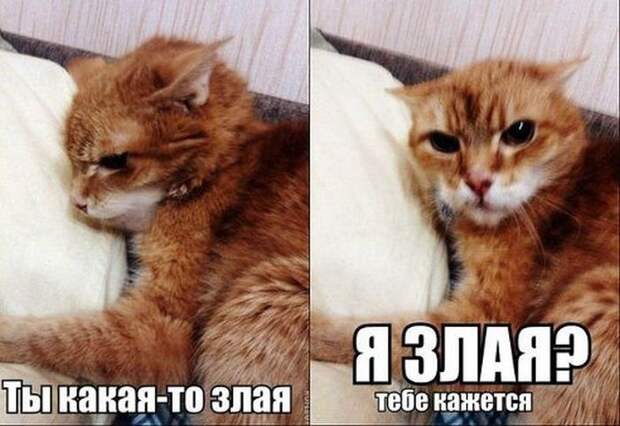 Давайте улыбаться вместе!