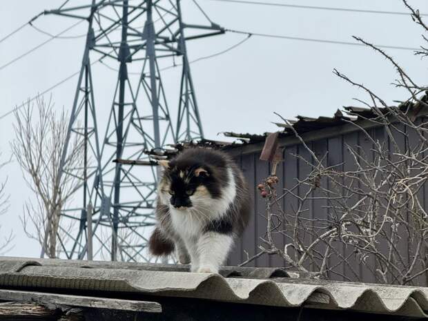 Снег вернется в Приморье уже в середине недели