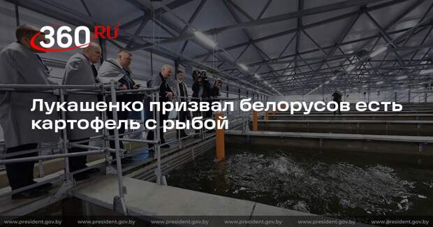 Лукашенко призвал белорусов есть картофель с рыбой