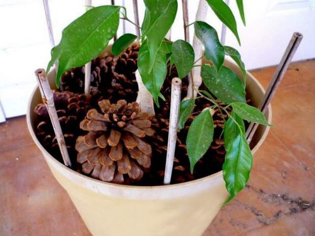 10 очень странных, но почему-то работающих лайхфаков