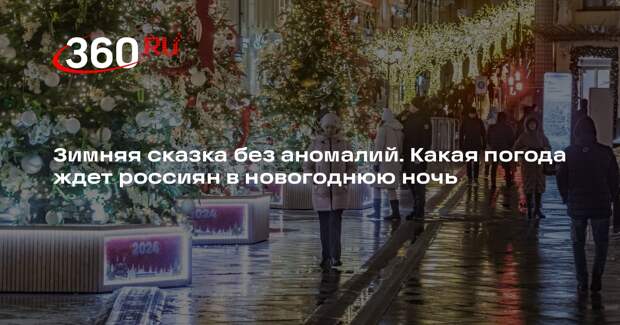 Синоптик Ильин рассказал, какой будет новогодняя ночь в разных частях России