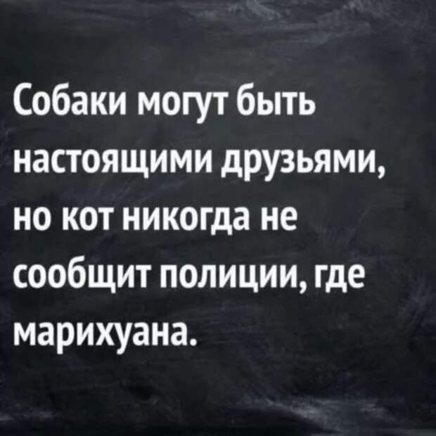 Неадекватный юмор из социальных сетей. Подборка chert-poberi-umor-chert-poberi-umor-59300421092020-11 картинка chert-poberi-umor-59300421092020-11