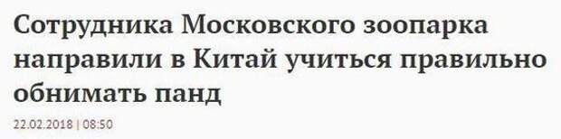 Убойные комментарии из социальных сетей Убойные комментарии из социальных сетей