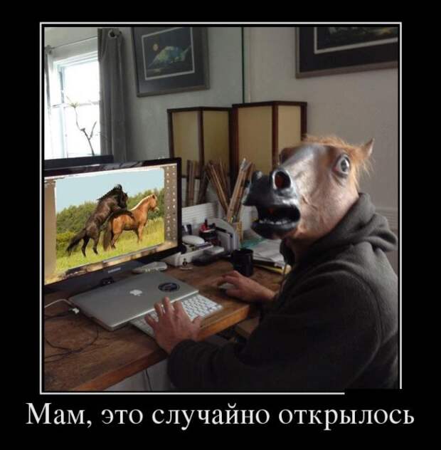 Демотиваторы (30 фото)