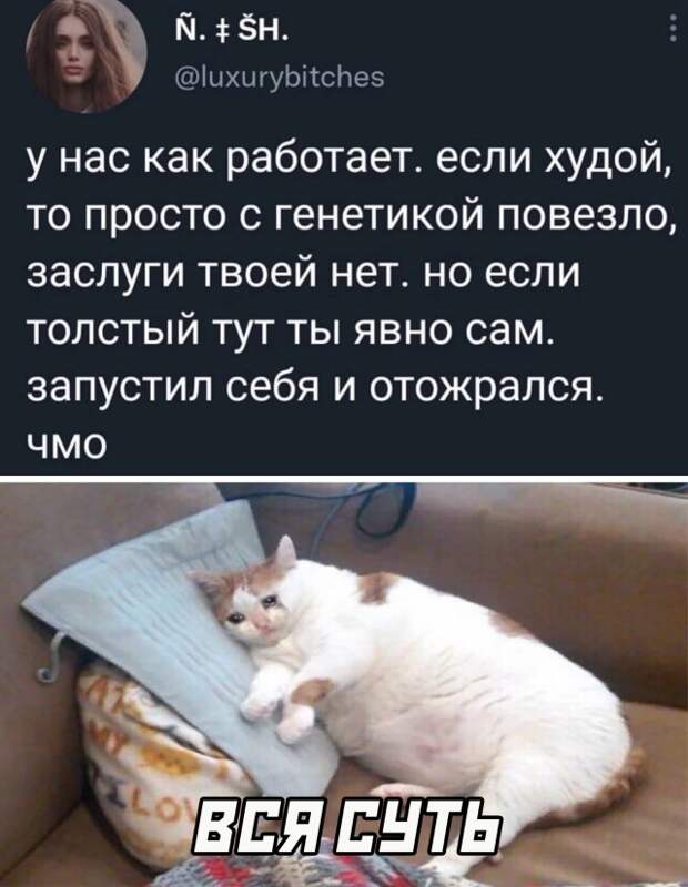 Смешные картинки 22 апреля 2022 года