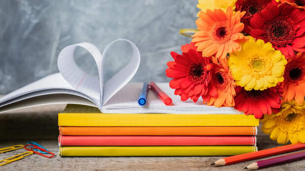 Фото: Katia Seniutina/Shutterstock/Fotodom