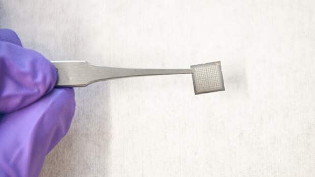 electronic programmable computing chip brain