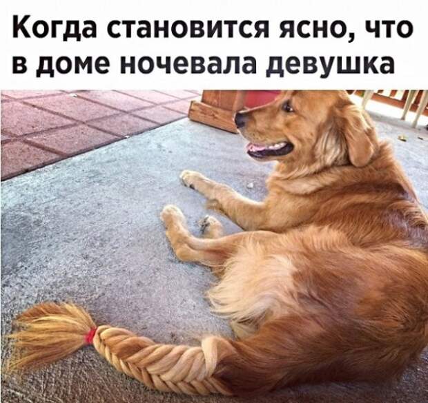 Картинки с надписями, истории и анекдоты