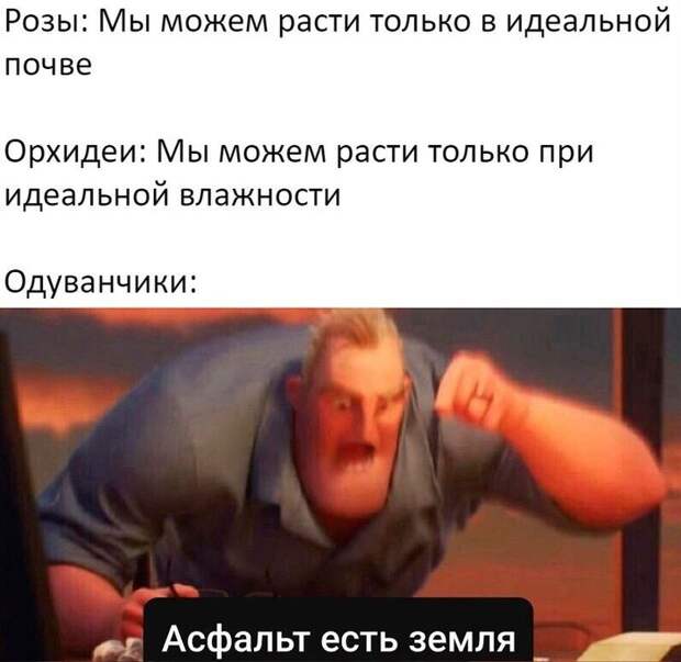 Будь как одуванчик Будь как одуванчик