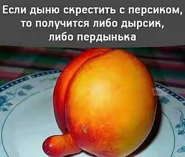 Клевые мемы (четверг)