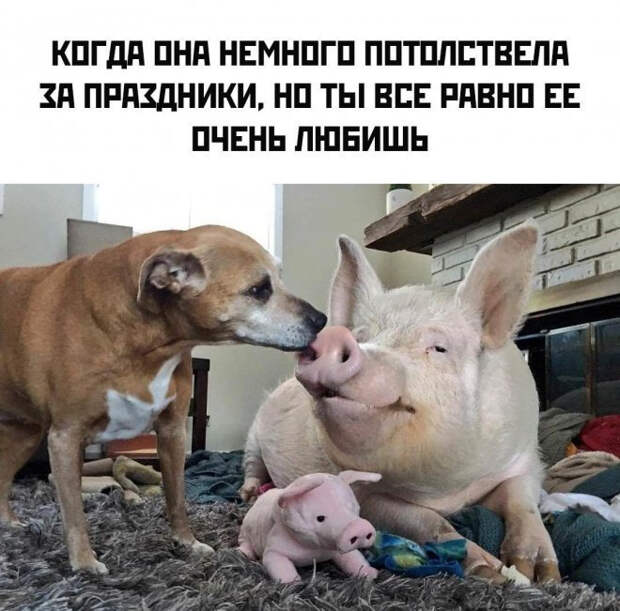 мем
