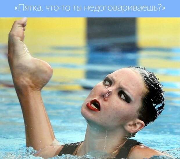 Эти забавные синхронистки  вода, синхронистки, спорт, юмор