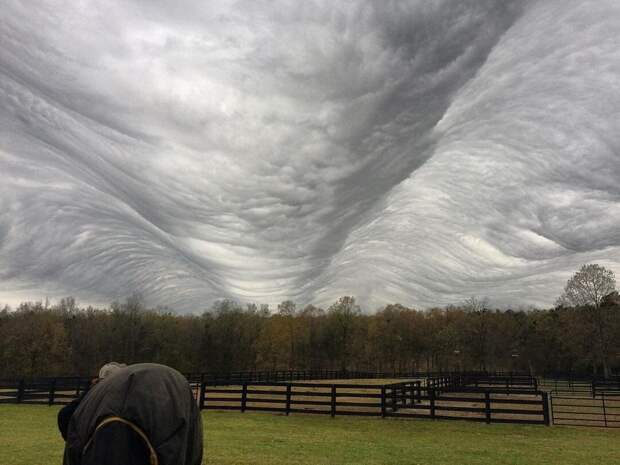 20 фото, на которых природа постаралась лучше любого фотошопа