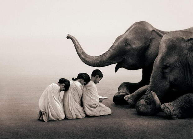 Люди и животные в фотографиях Gregory Colbert Люди и животные в фотографиях Gregory Colbert