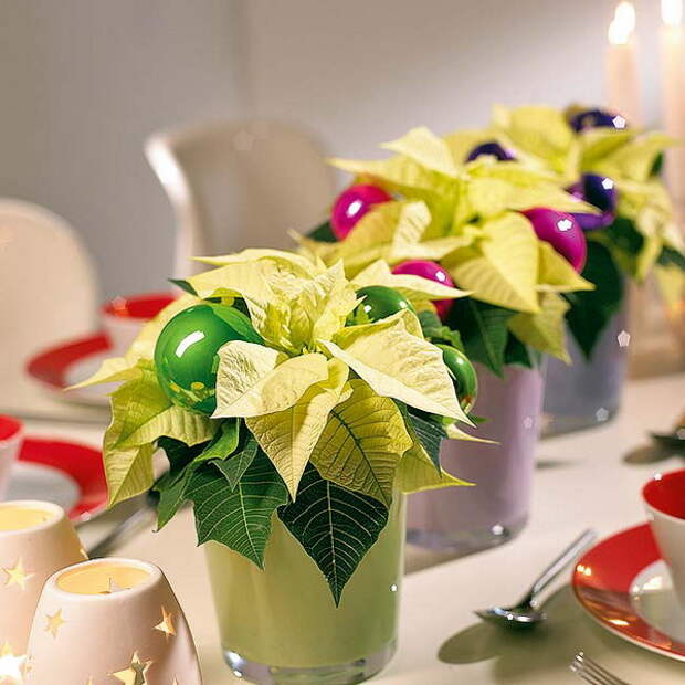 home-flowers-in-new-year-decorating1-2 (600x600, 95Kb)