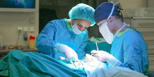 В Москве провели уникальную операцию сфокусированным ультразвуком. Фото: mos.ru