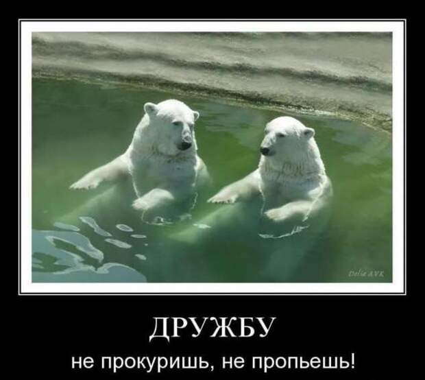 Прикольные демотиваторы с надписями. Подборка chert-poberi-dem-chert-poberi-dem-57570603092020-17 картинка chert-poberi-dem-57570603092020-17