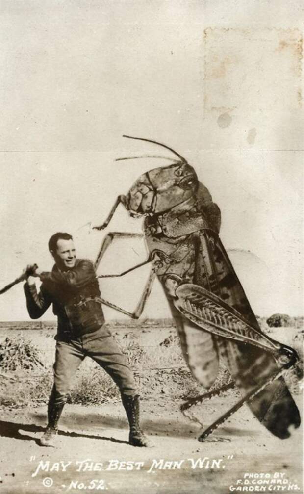 Фотошоп