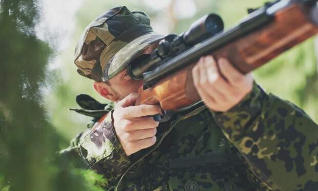 Двое охотников, застреливших лосей в Шиловском заказнике, предстанут перед судом