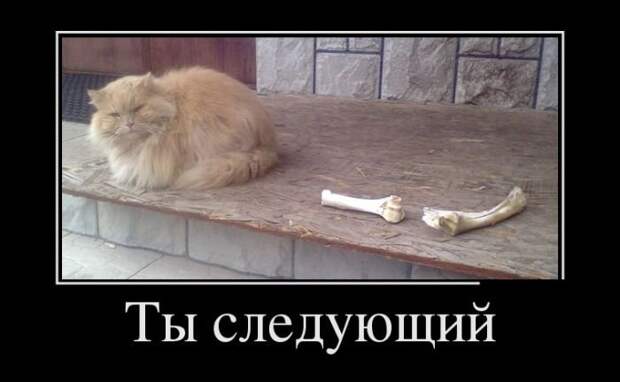 Демотиваторы (05.07.16) Демотиваторы (05.07.16)