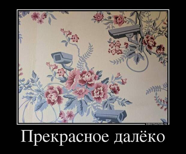 Прекрасное далеко демотиватор, демотиваторы, жизненно, картинки, подборка, прикол, смех, юмор