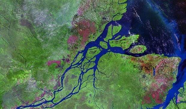 Удивительные факты об Амазонке амазонка, история, позновательное, факты