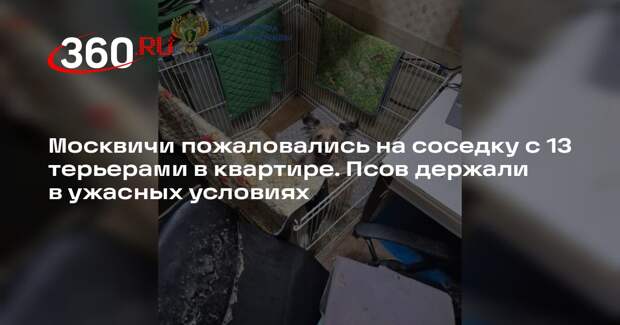 Москвичи пожаловались на заводчицу с 13 собаками в захламленной квартире