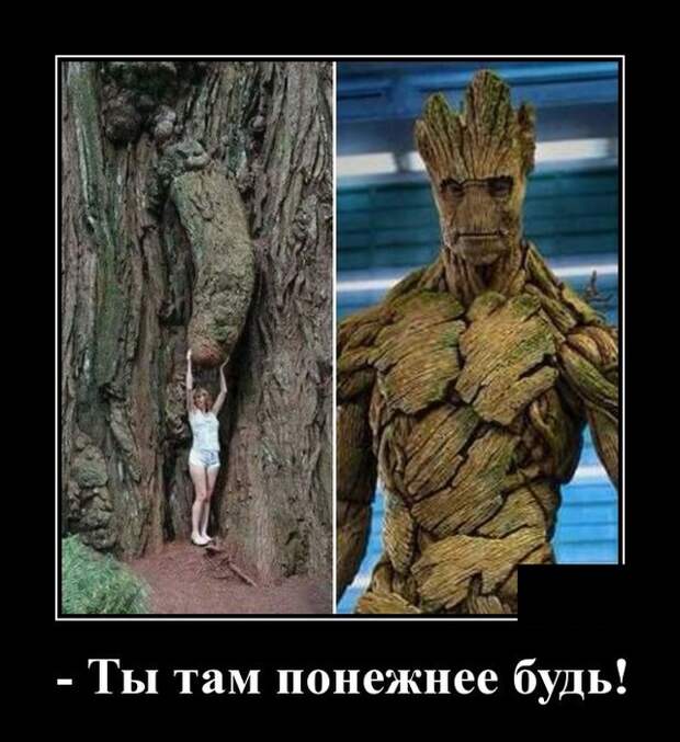 Демотиваторы (20 фото)