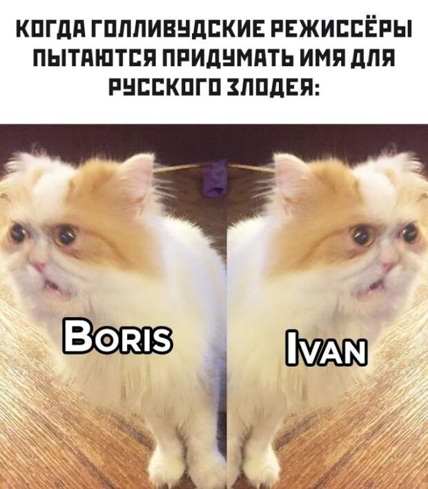 Смешные фото вечер 25 марта 2020