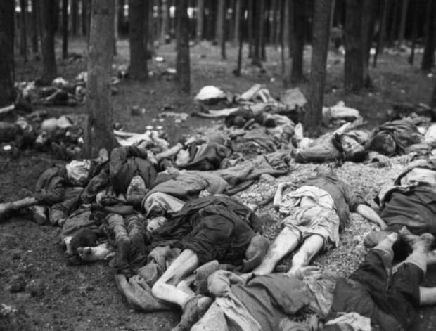 Жертвы нацистских медицинских экспериментов, которые были вывезена в лес по приказу американцев. 