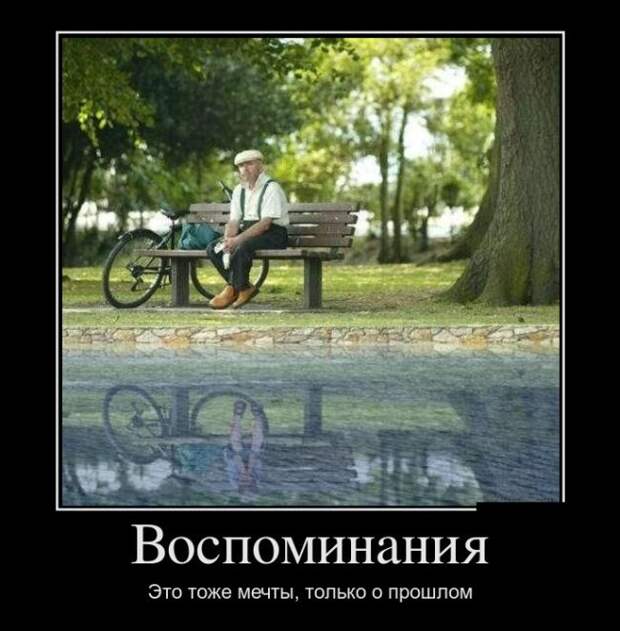 Демотиваторы