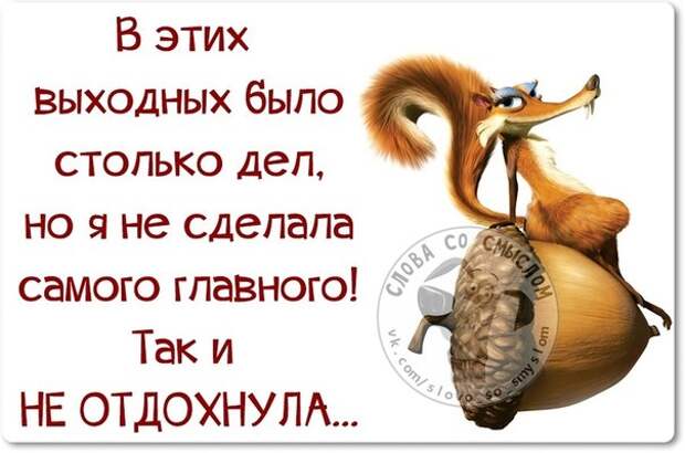 В этих выходных было столько дел!