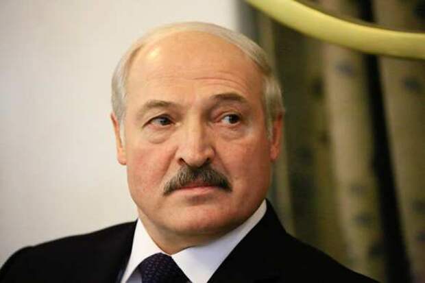 Протестующие в Минске подошли к резиденции Лукашенко и были встречены силовиками и спецтехникой (ФОТО, ВИДЕО) | Русская весна