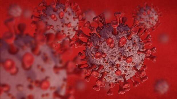 Учёные предполагают, что штамм коронавируса “омикрон” может стать спасением человечества