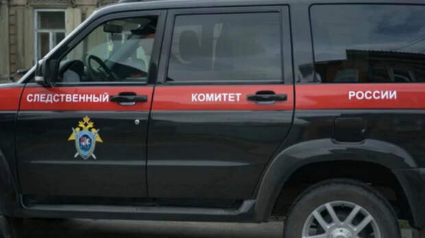 В Алтайском крае возбудили уголовное дело по факту убийства восьмимесячной девочки