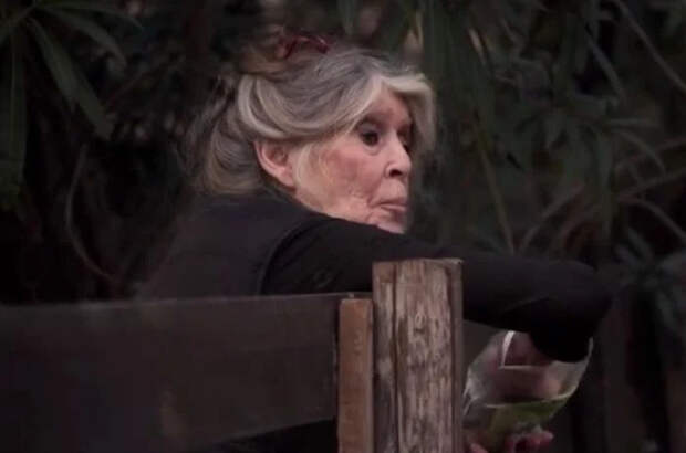 Опубликовано последнее видео актрисы Брижит Бардо за несколько дней до смерти