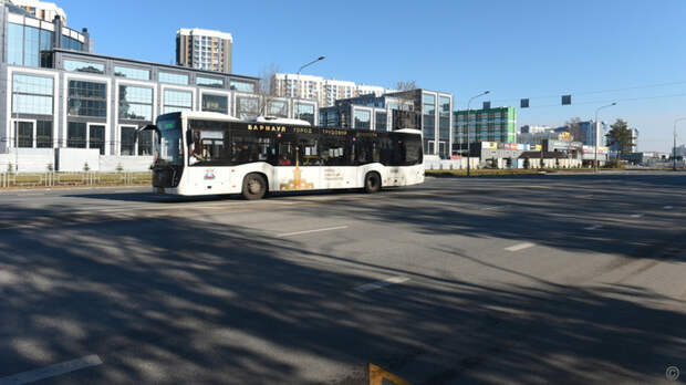 Фото: barnaul.org                 