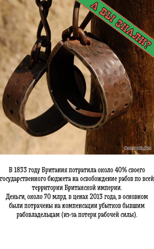 интересные факты