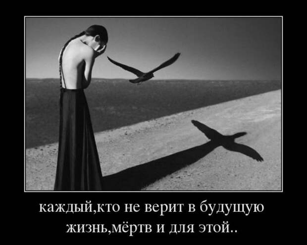 Демотиваторы (30 фото)