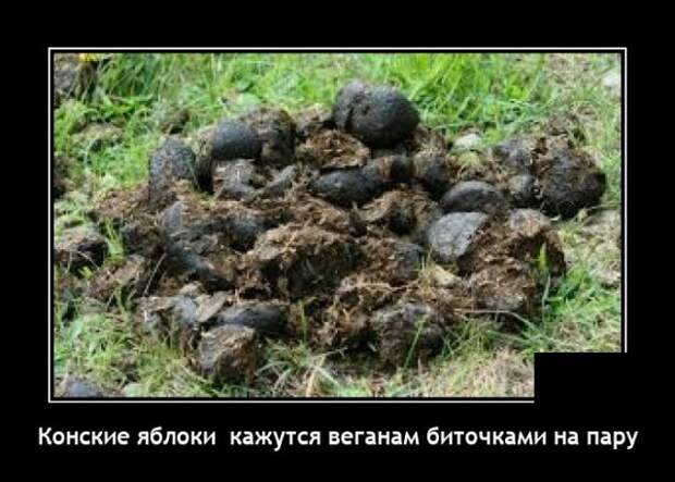 Демотиватор про веганов