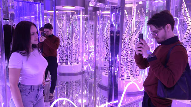 Технологии чувств: как ИИ помогает современному человеку в любви