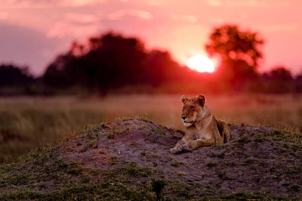Конкурс фотографий National Geographic Traveler 2016
